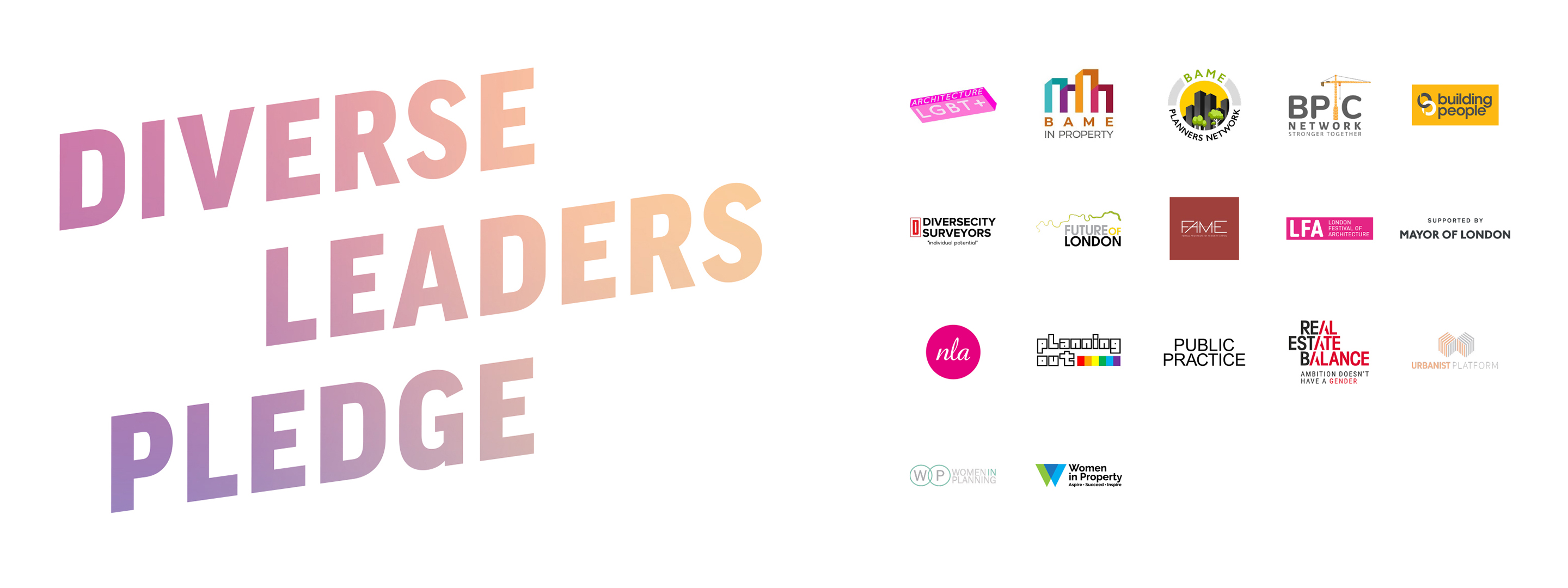 Diverse Leaders Pledge - media pack