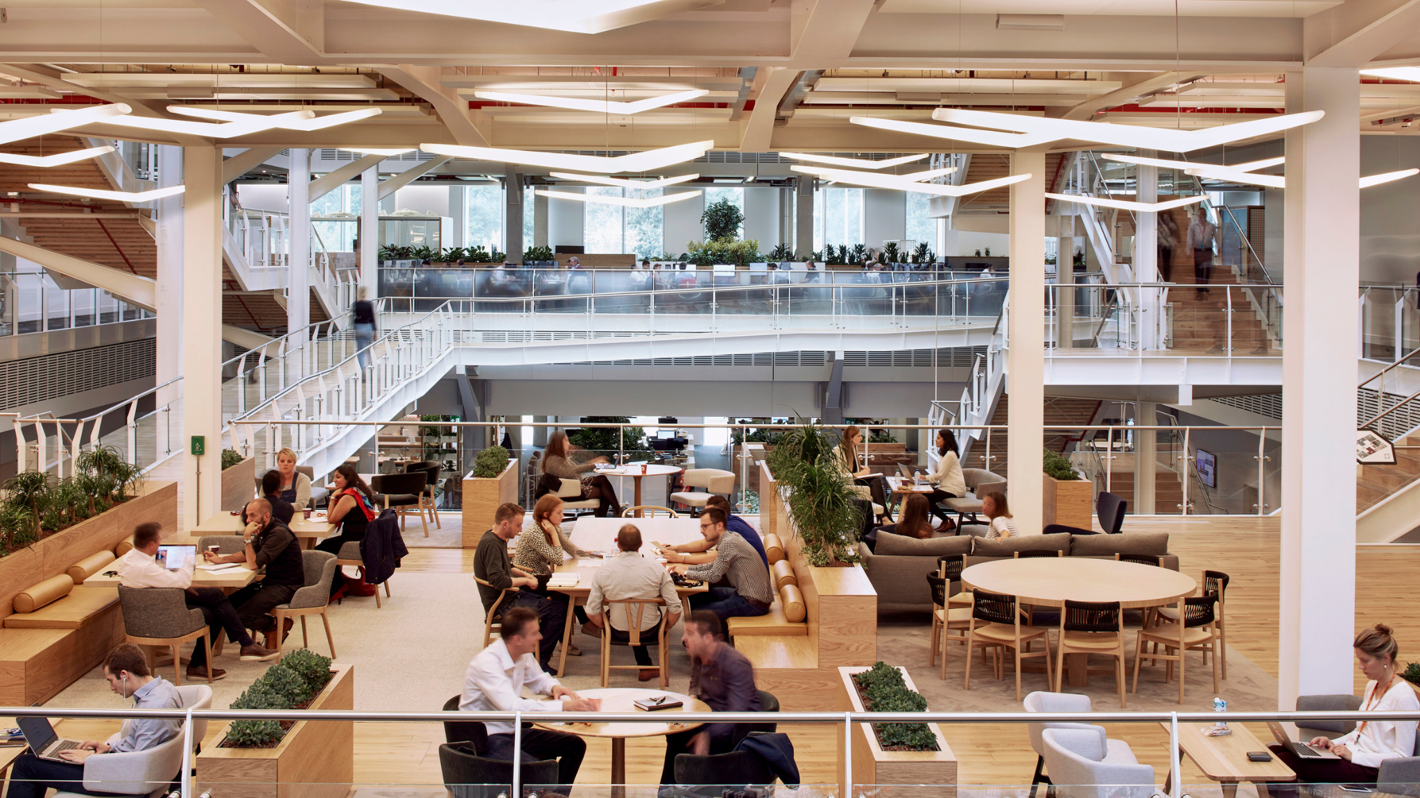 Hassell’s 2023 Workplace Futures Survey