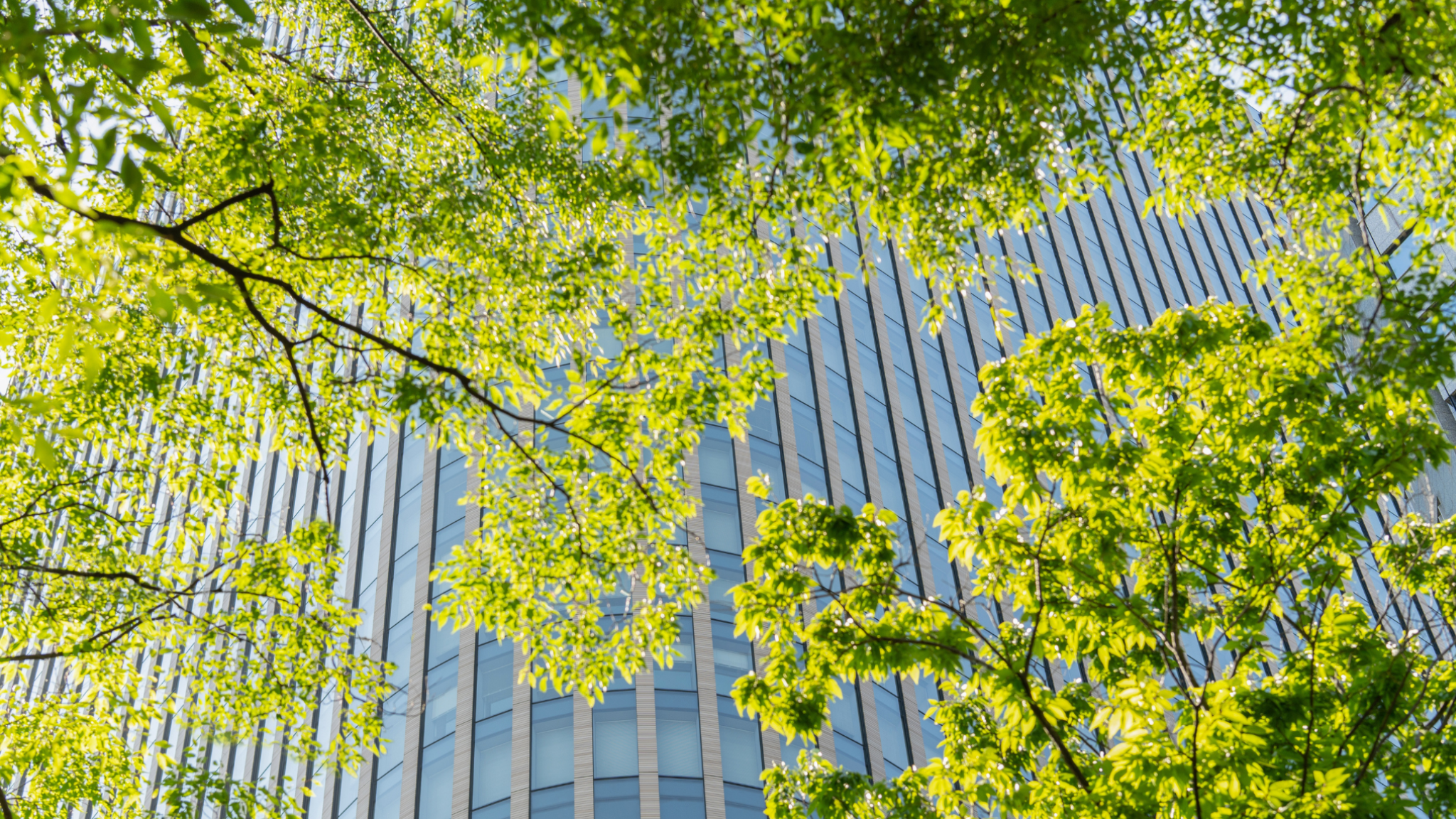 NLA announces new research partnership with Future Places Studio