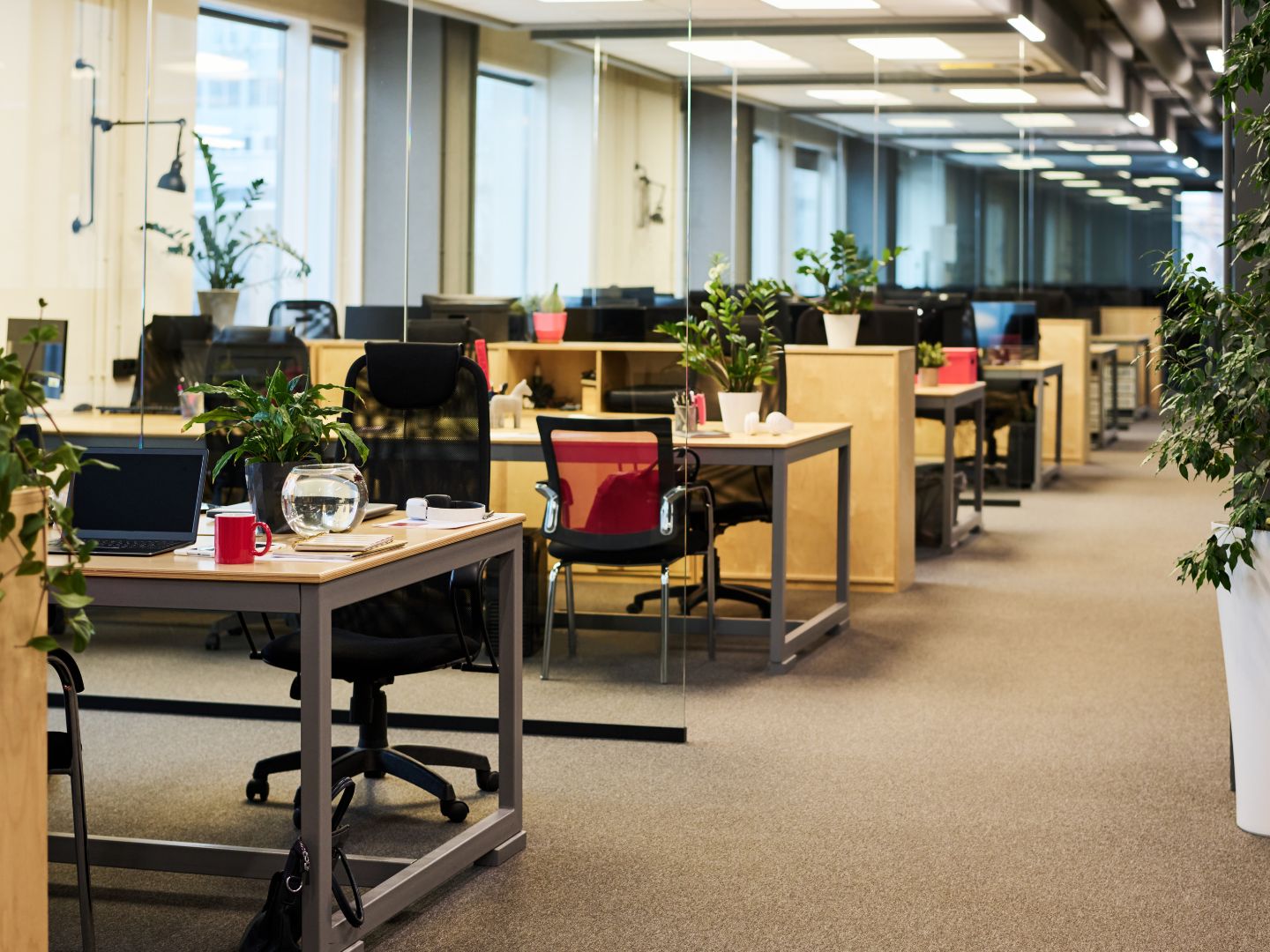 Technical Briefing: Sustainable Office Fit Outs Technical Briefing: Sustainable Office Fit Outs