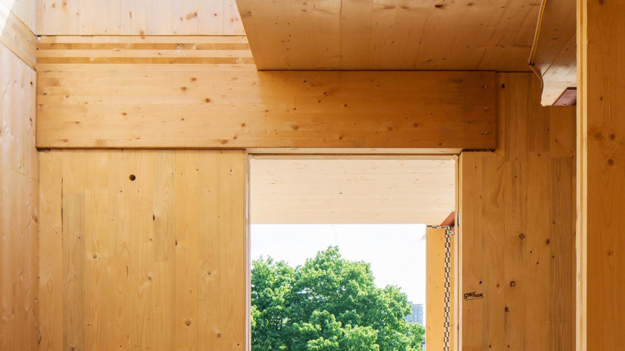 Campaigners urge government to ‘Save safe structural timber’