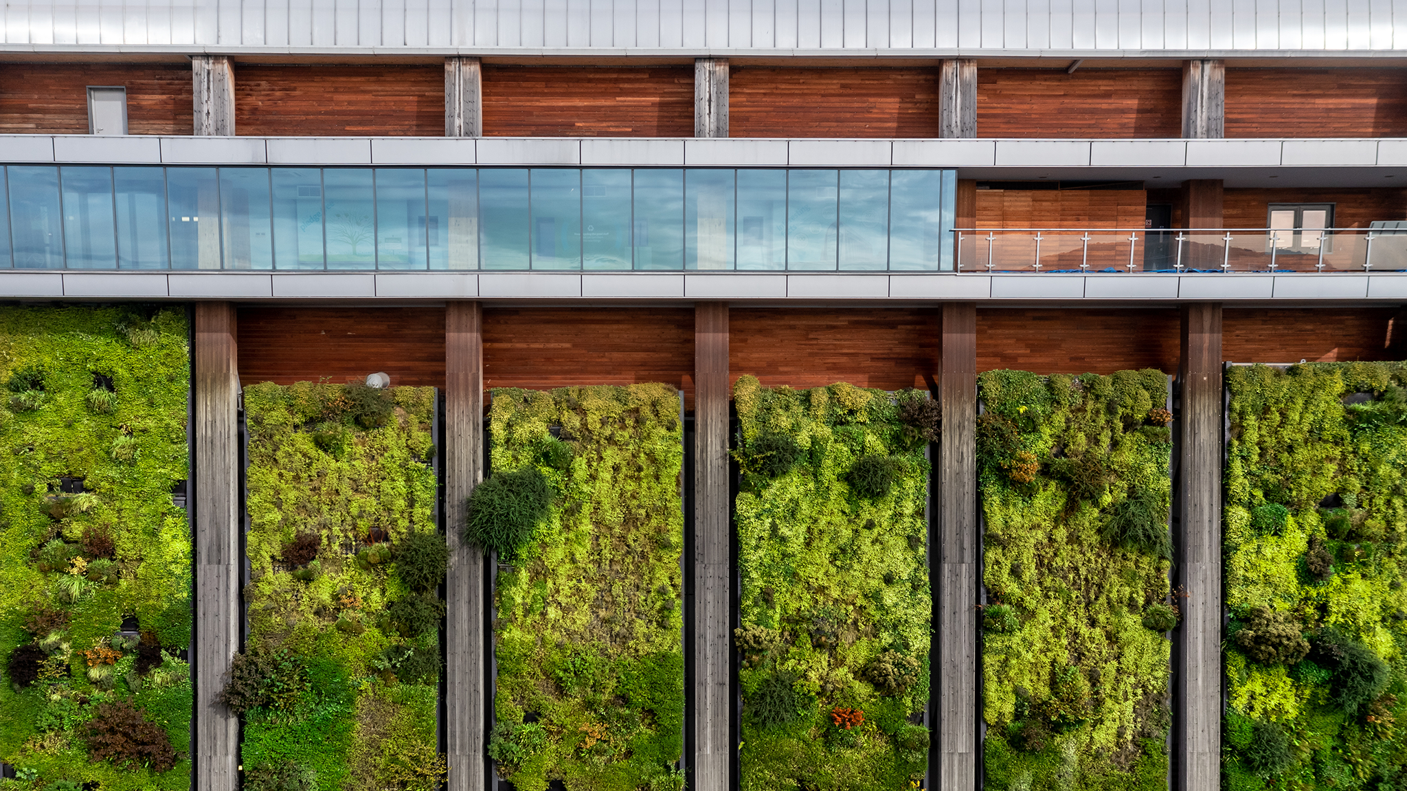 Net Zero Leadership