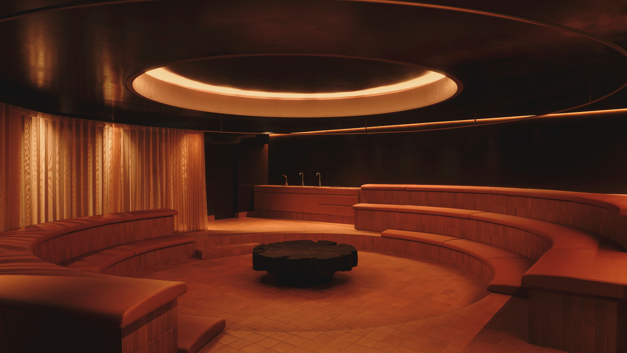 Arc & the Evolution of Socialising