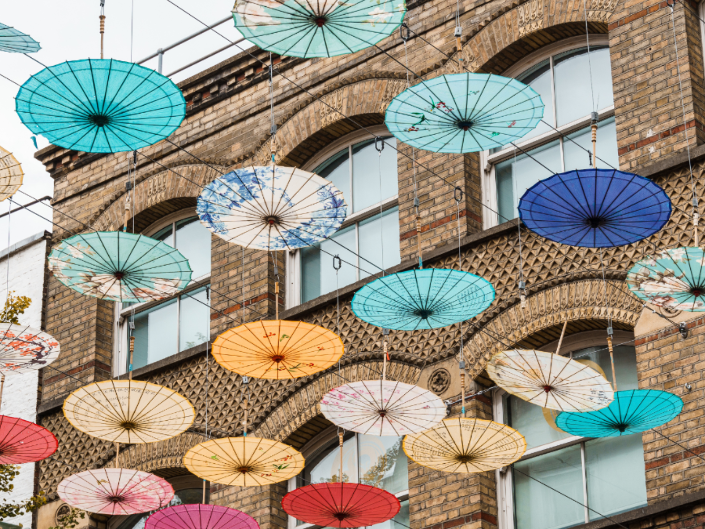 Embedding Culture in Development: Insights from NLA’s Culture Panel