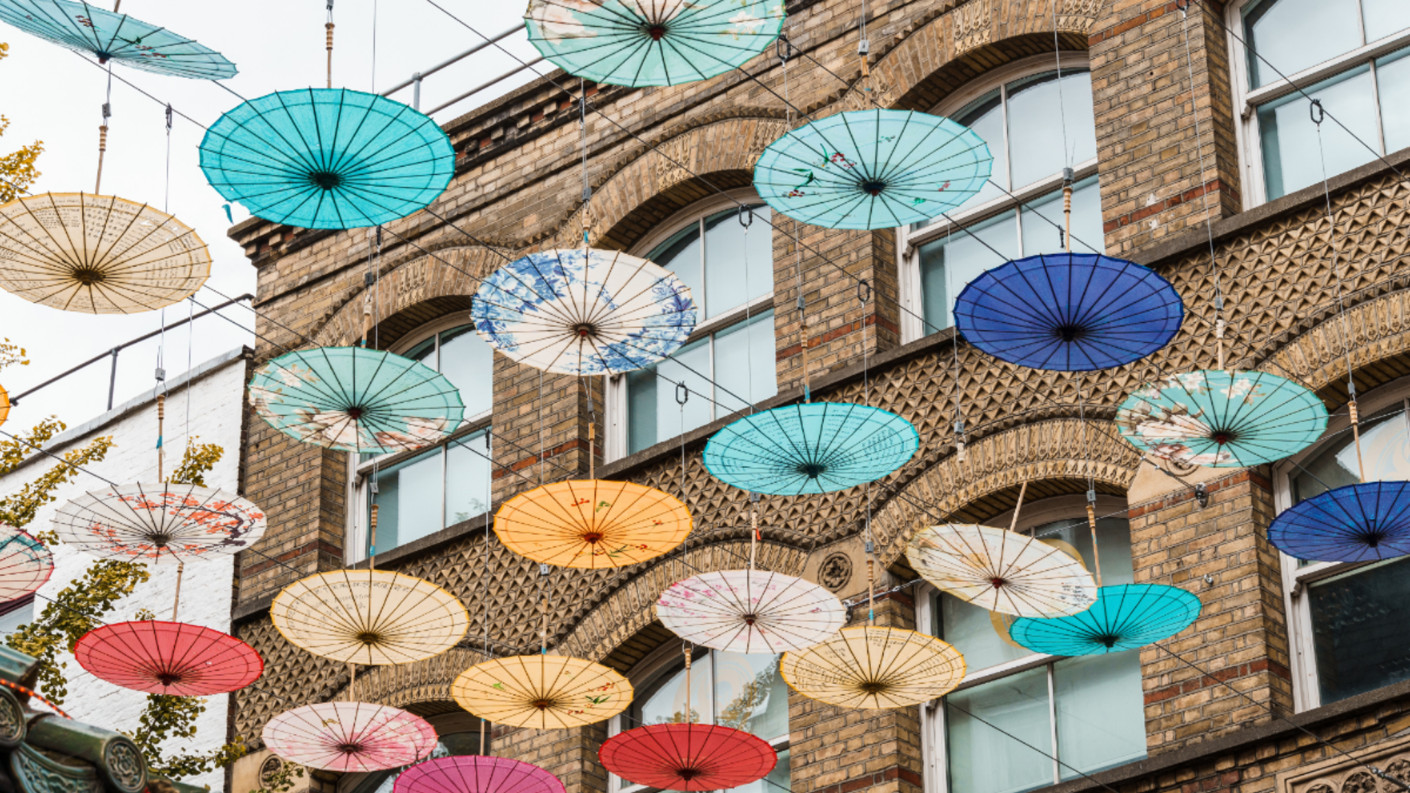 Embedding Culture in Development: Insights from NLA’s Culture Panel