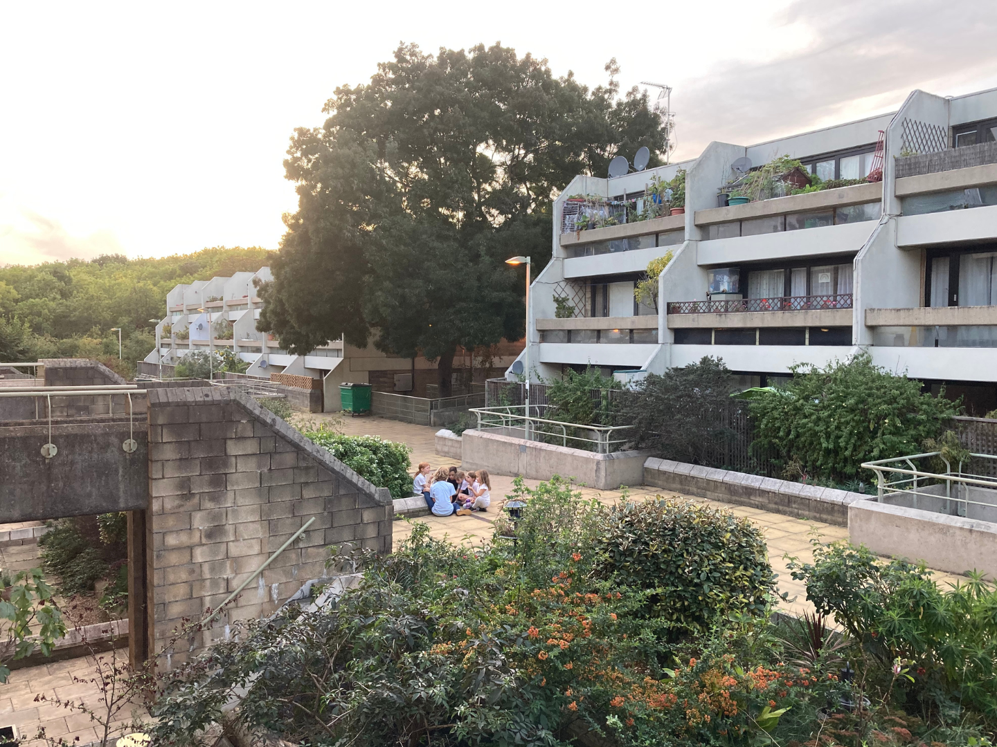 Homes for Londoners: The White Flats film screening