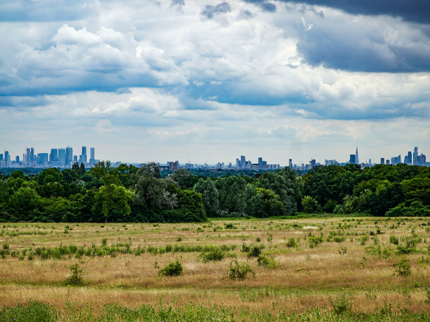 Healthy Soil: The superpower beneath our feet