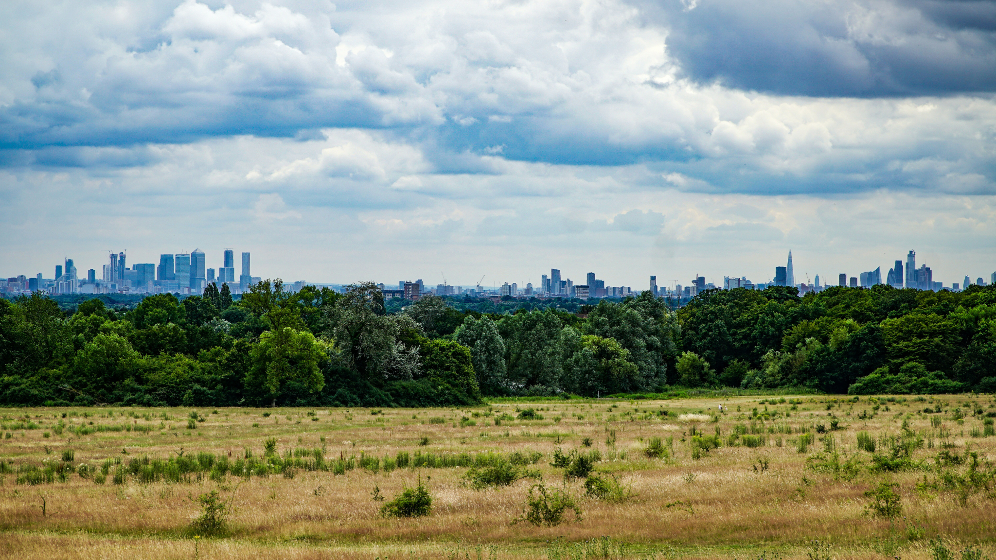 Healthy Soil: The superpower beneath our feet
