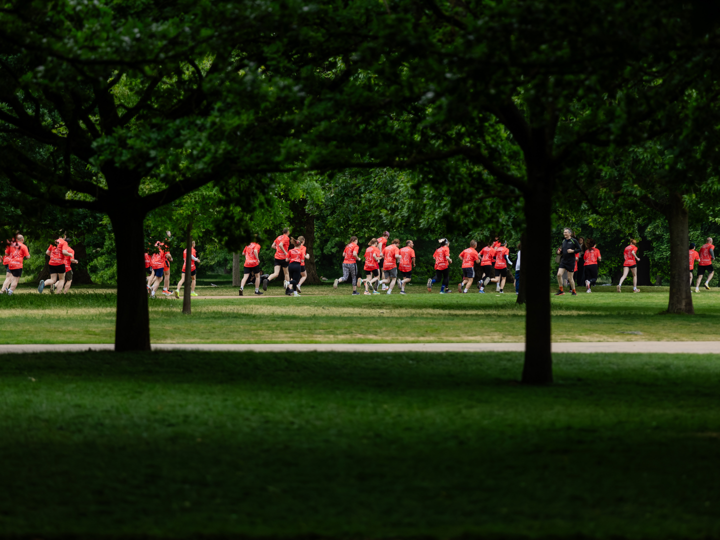 HD5K 2026: The built environment comes together for MND