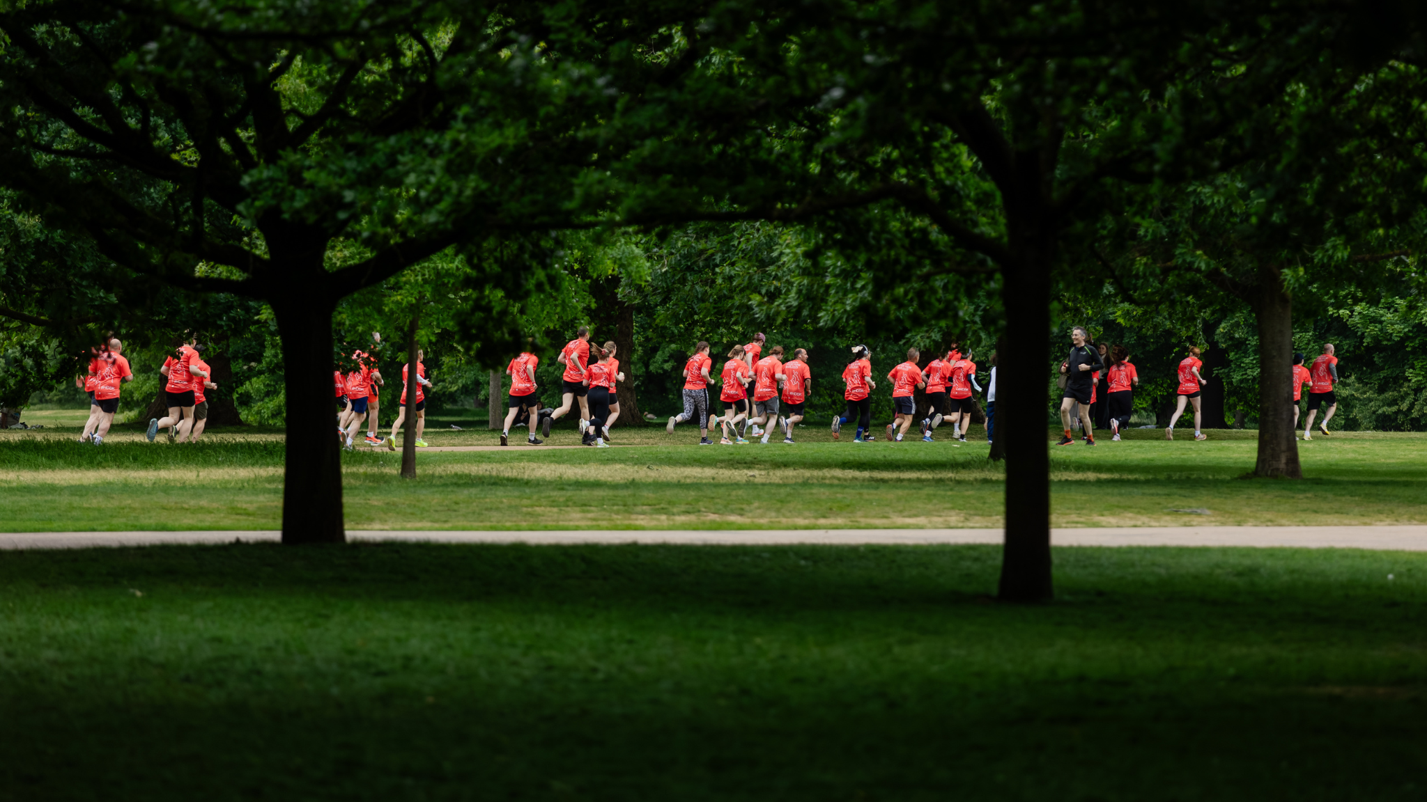 HD5K 2026: The built environment comes together for MND