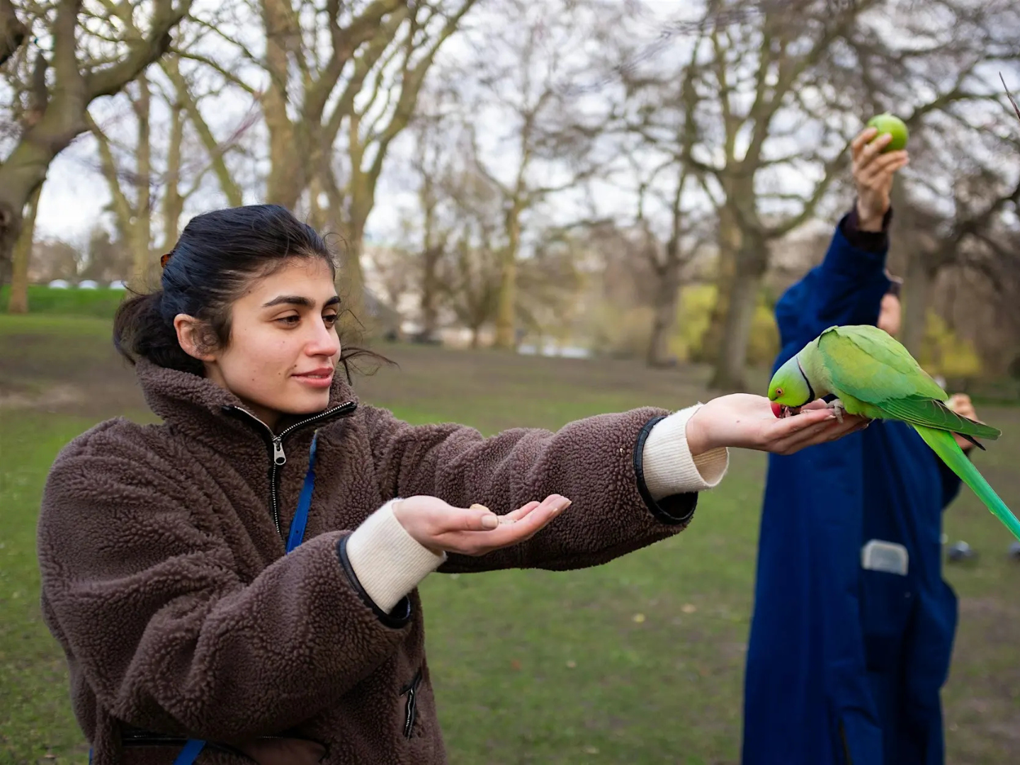 NLA Walking Tour: Urban Ecology and Parakeets
