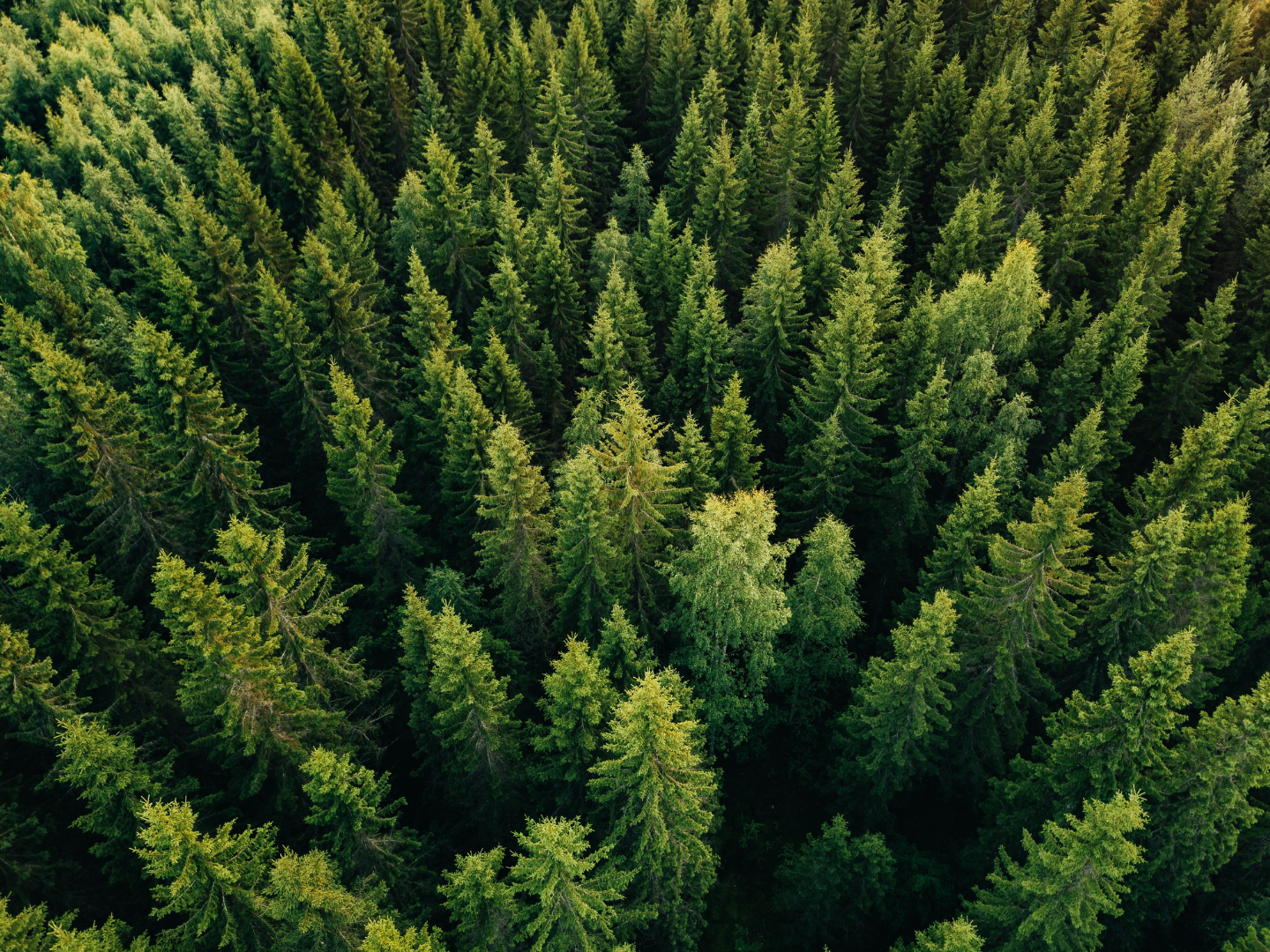 Circular Economy, Retrofit and the Systems Needed for Change