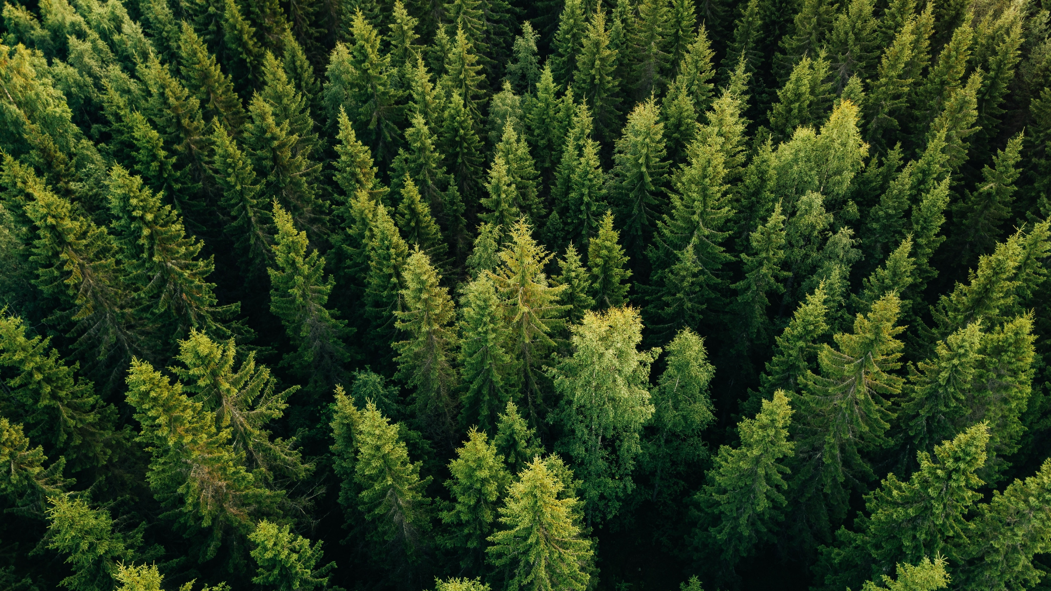 Circular Economy, Retrofit and the Systems Needed for Change