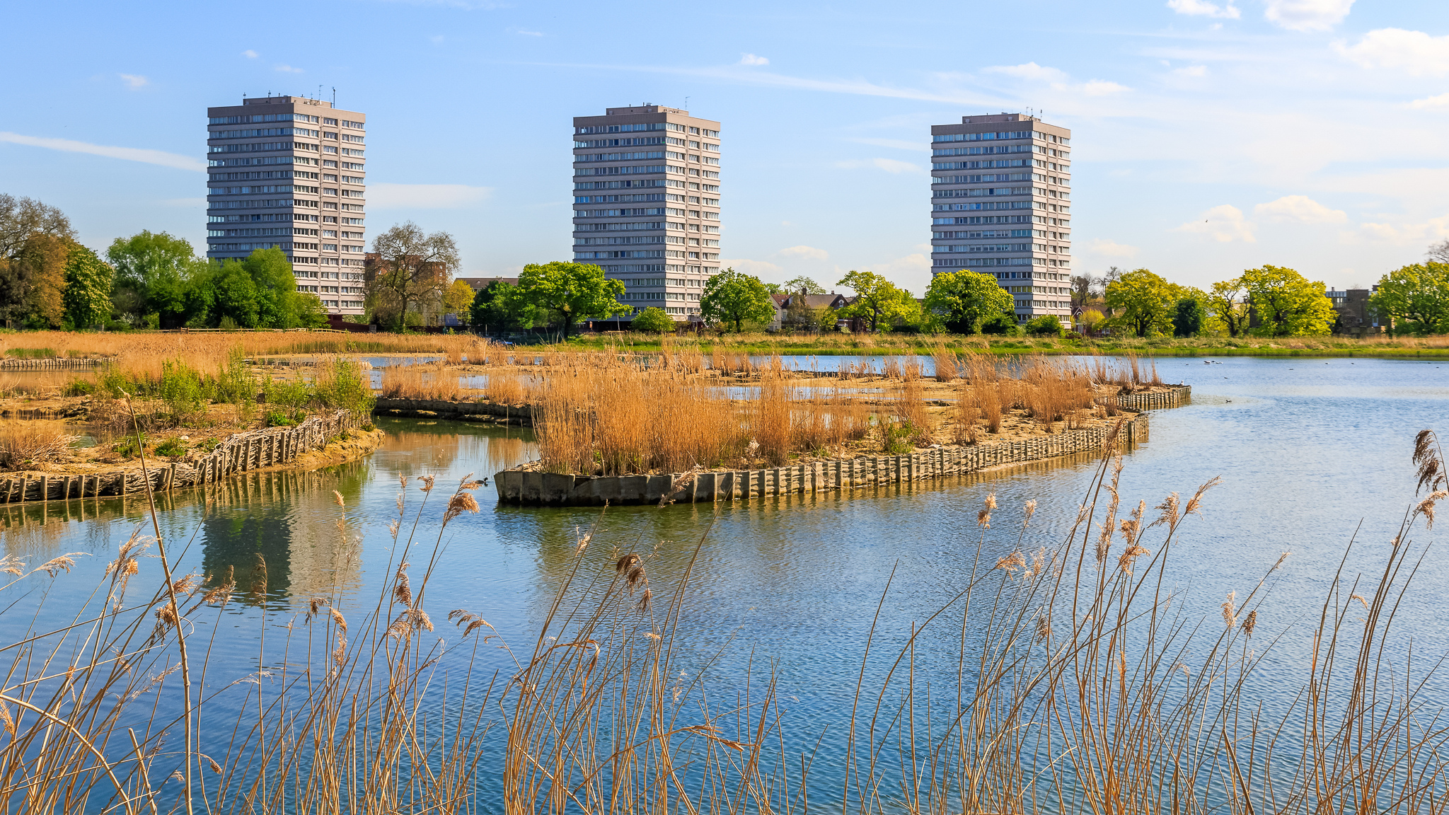 More than human planning in practice:  A roundtable