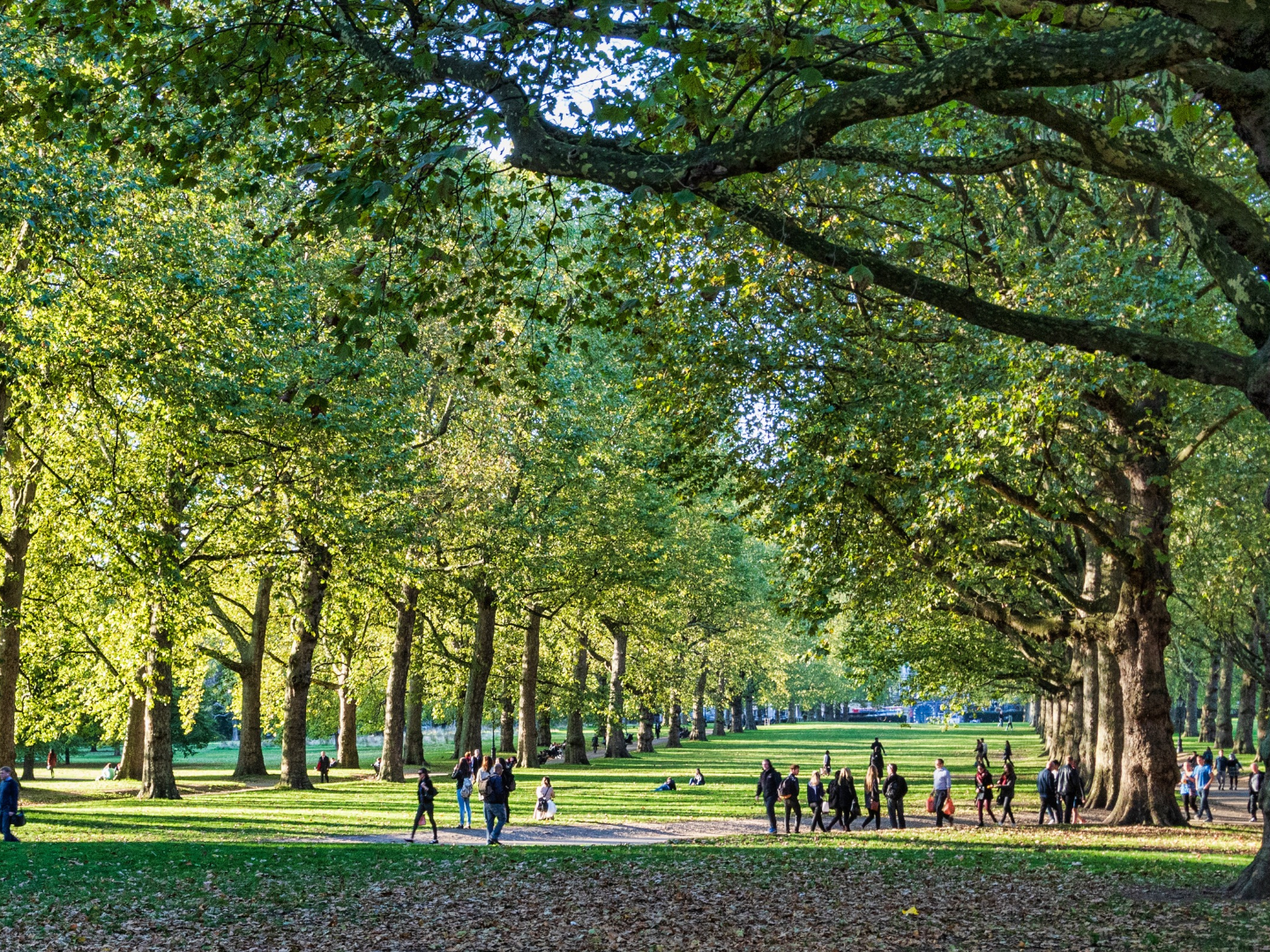 London: So cool, but not cool enough